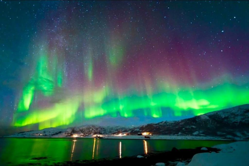 In The Heart Of The Aurora Borealis - Tromso City Dış mekan fotoğraf