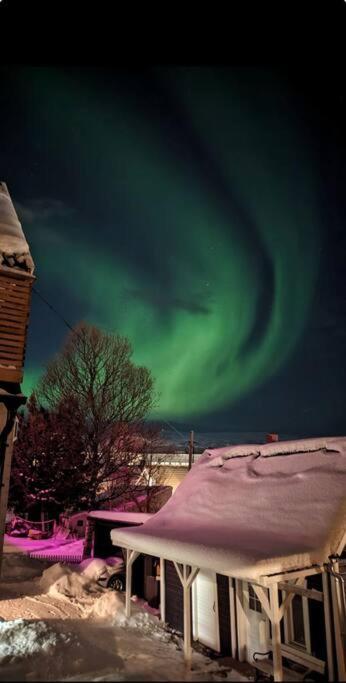 In The Heart Of The Aurora Borealis - Tromso City Dış mekan fotoğraf